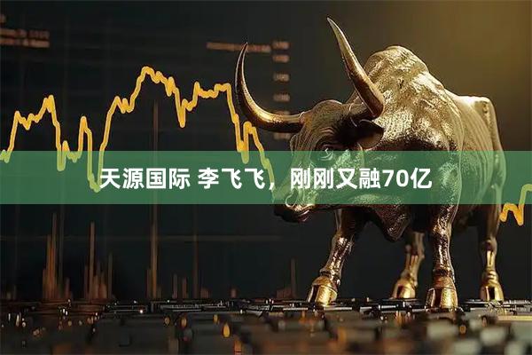 天源国际 李飞飞，刚刚又融70亿