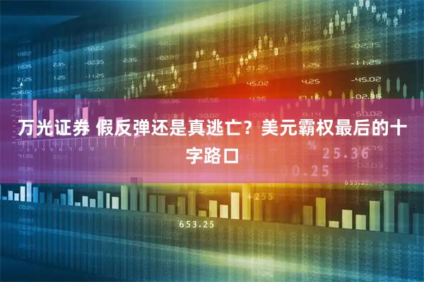 万光证券 假反弹还是真逃亡？美元霸权最后的十字路口
