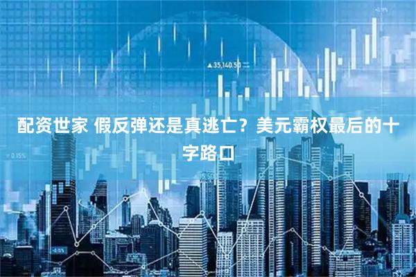 配资世家 假反弹还是真逃亡？美元霸权最后的十字路口
