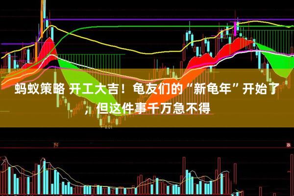 蚂蚁策略 开工大吉！龟友们的“新龟年”开始了，但这件事千万急不得