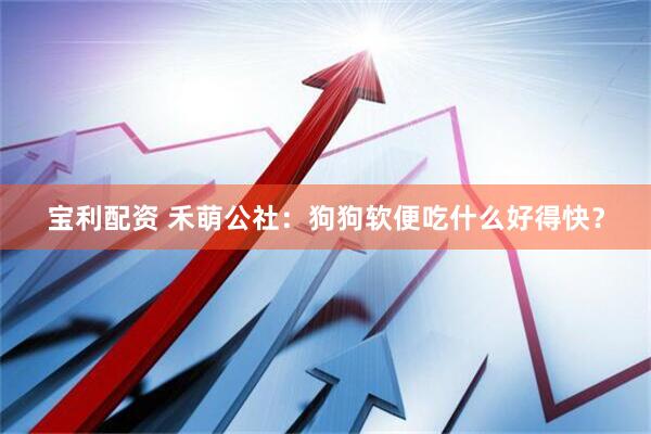 宝利配资 禾萌公社：狗狗软便吃什么好得快？