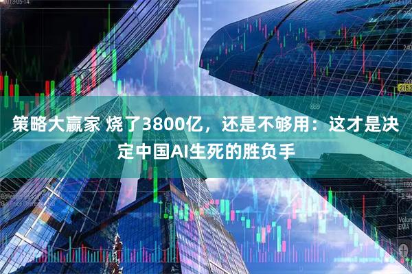 策略大赢家 烧了3800亿，还是不够用：这才是决定中国AI生死的胜负手
