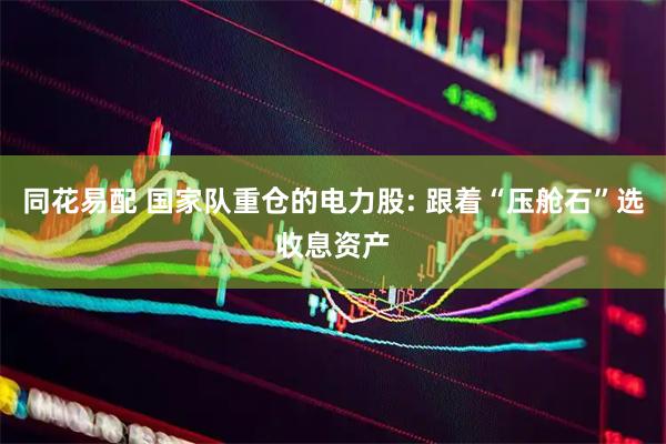 同花易配 国家队重仓的电力股: 跟着“压舱石”选收息资产