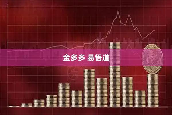 金多多 易悟道