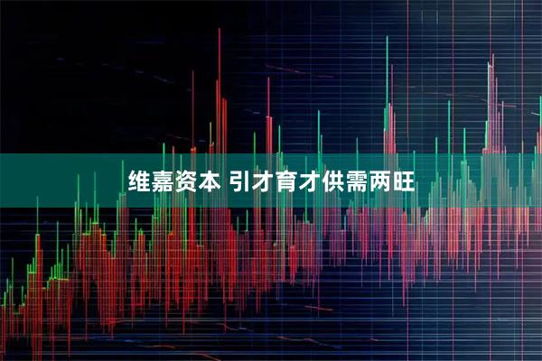 维嘉资本 引才育才供需两旺