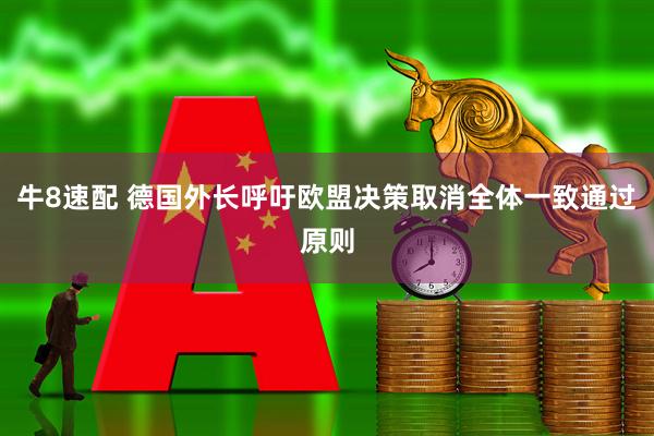 牛8速配 德国外长呼吁欧盟决策取消全体一致通过原则
