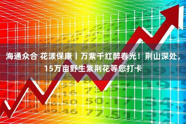海通众合 花漾保康丨万紫千红醉春光！荆山深处，15万亩野生紫荆花等您打卡