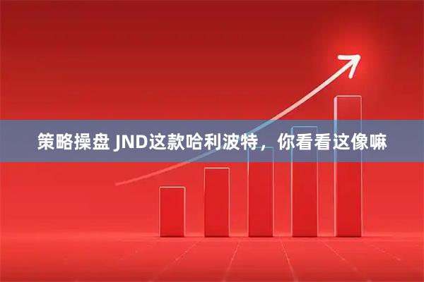 策略操盘 JND这款哈利波特，你看看这像嘛