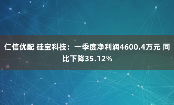 仁信优配 硅宝科技：一季度净利润4600.4万元 同比下降35.12%