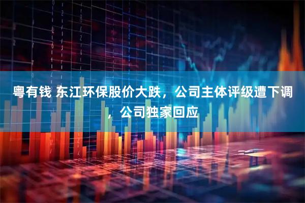 粤有钱 东江环保股价大跌，公司主体评级遭下调，公司独家回应