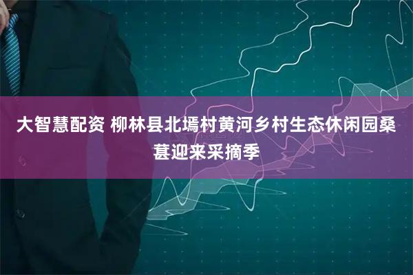 大智慧配资 柳林县北墕村黄河乡村生态休闲园桑葚迎来采摘季