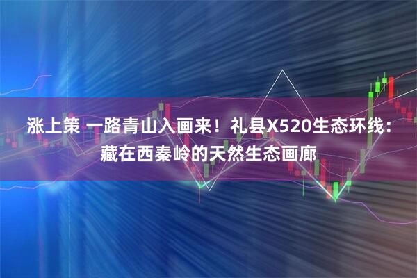 涨上策 一路青山入画来！礼县X520生态环线：藏在西秦岭的天然生态画廊