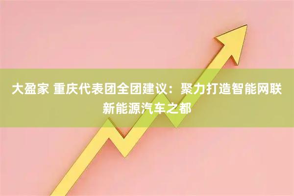 大盈家 重庆代表团全团建议：聚力打造智能网联新能源汽车之都