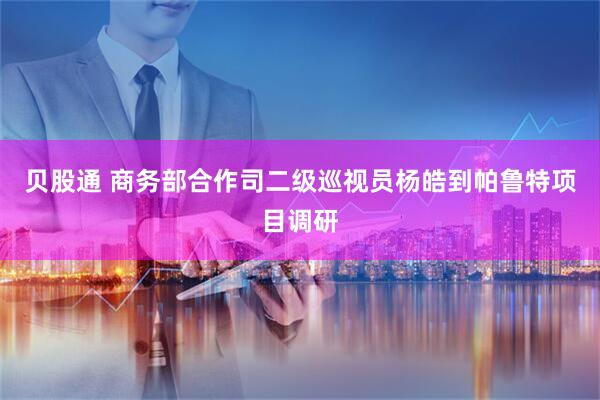贝股通 商务部合作司二级巡视员杨皓到帕鲁特项目调研