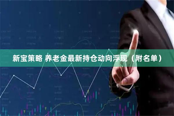 新宝策略 养老金最新持仓动向浮现（附名单）