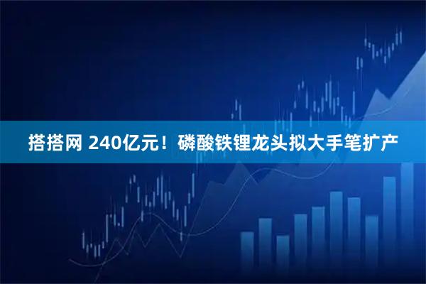 搭搭网 240亿元！磷酸铁锂龙头拟大手笔扩产