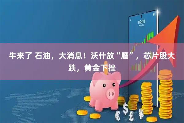 牛来了 石油，大消息！沃什放“鹰”，芯片股大跌，黄金下挫